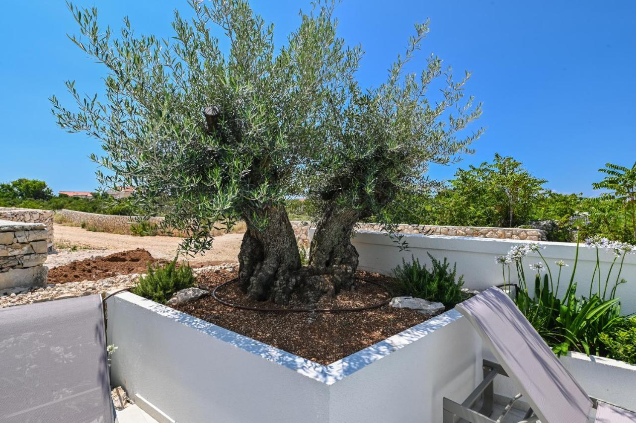 Villa Cala, Hotel Rooms&Apartments نوفاليا المظهر الخارجي الصورة