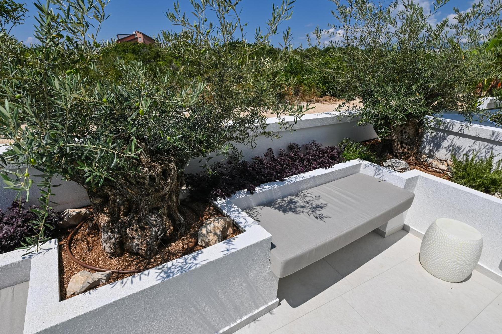 Villa Cala, Hotel Rooms&Apartments نوفاليا المظهر الخارجي الصورة